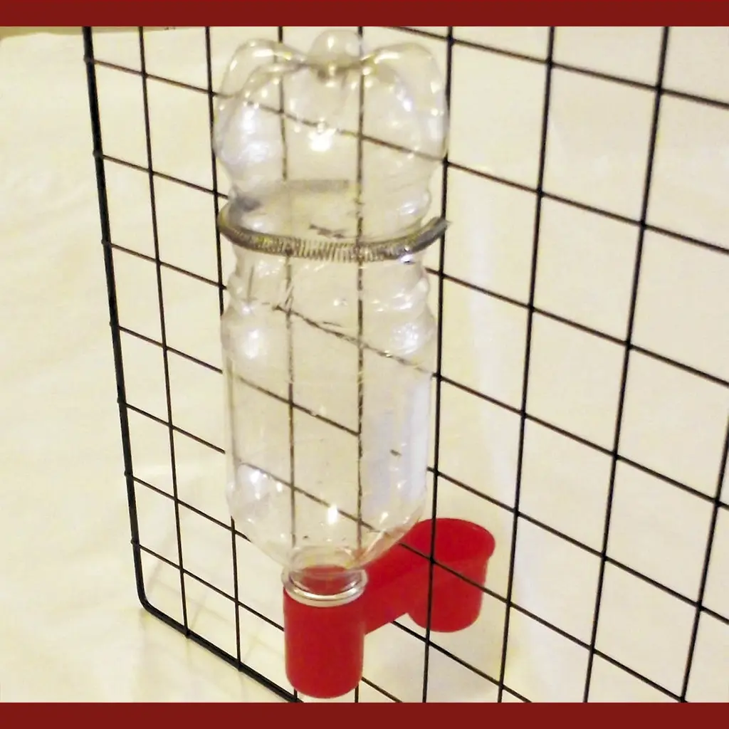 pop drinkers - Image 3